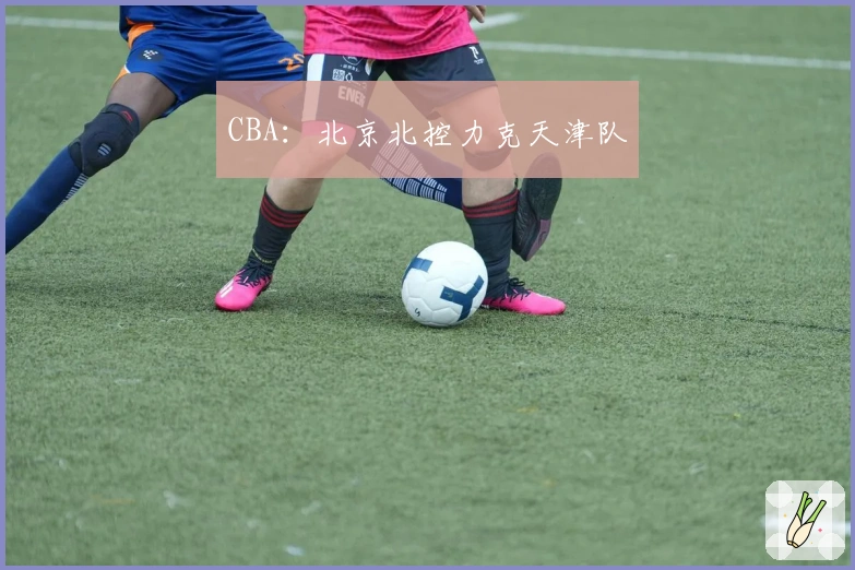 CBA：北京北控力克天津队