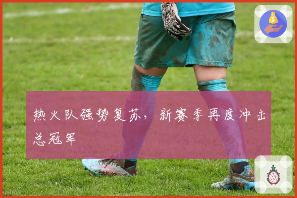 热火队强势复苏，新赛季再度冲击总冠军