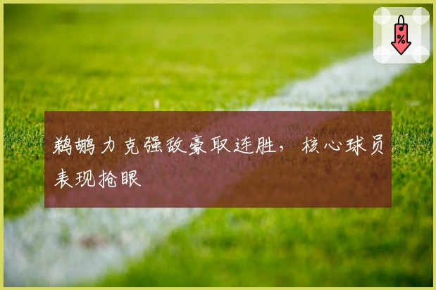 鹈鹕力克强敌豪取连胜，核心球员表现抢眼